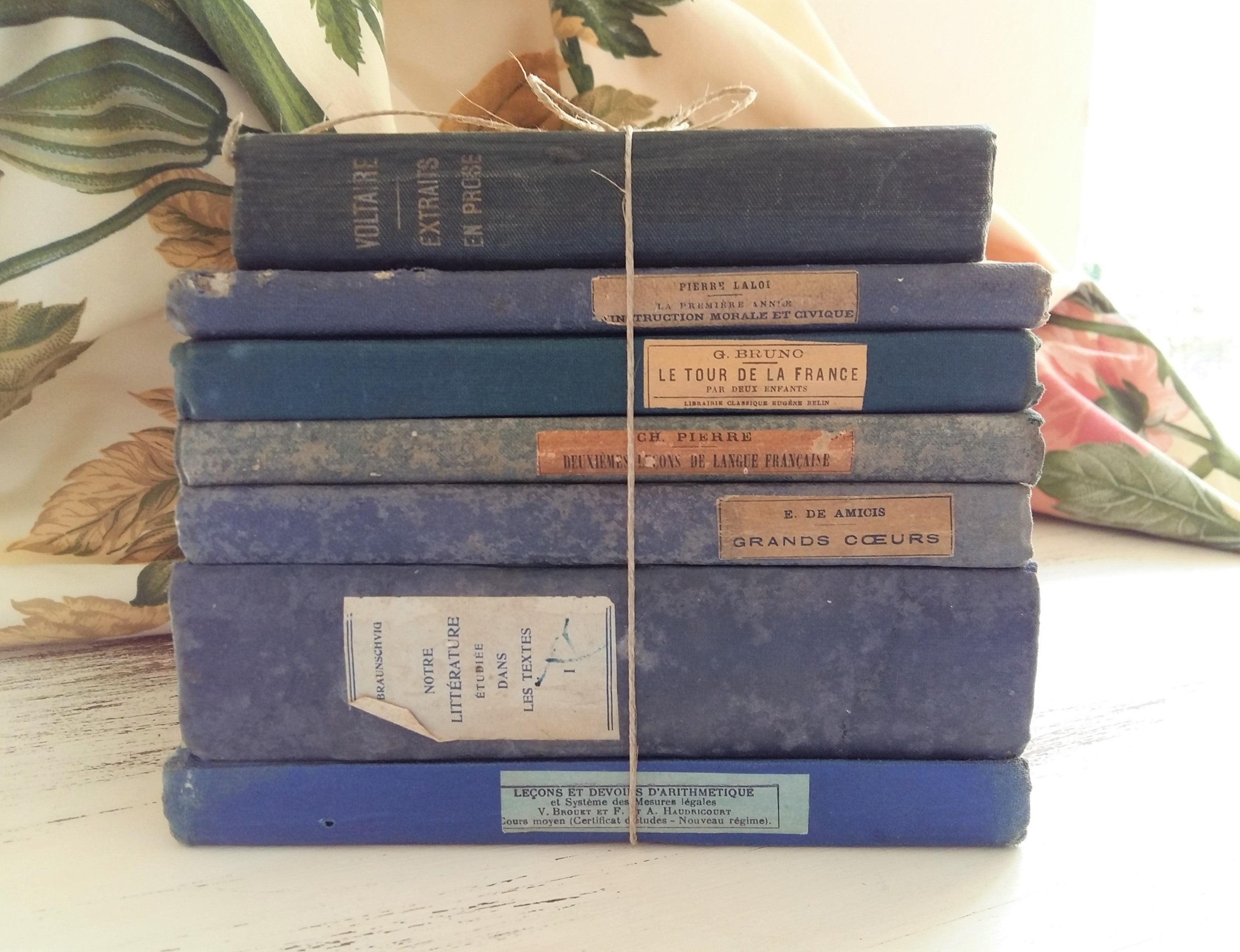 Blue Book Stack. Travel Guide, Literature by Voltaire & Montaigne.  Agricultural Encyclopaedia by Tiggy and Pip