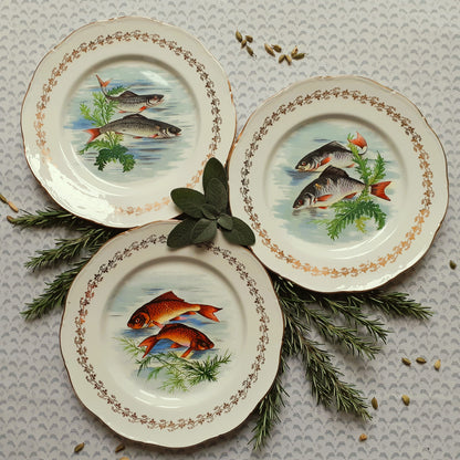 TEN Mix and Match Vintage Fish Plates from Tiggy and Pip - Just €240! Shop now at Tiggy and Pip