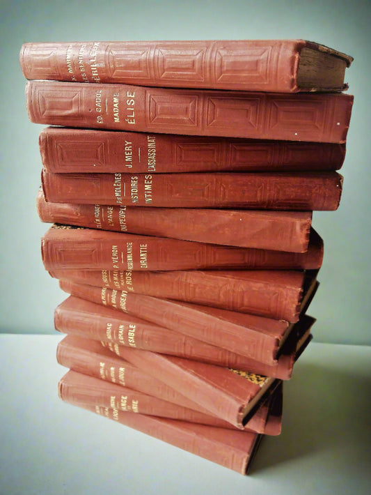 Stack of THIRTEEN 1860-1888 French Books. from Tiggy & Pip - Just €195! Shop now at Tiggy and Pip