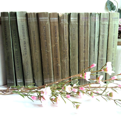 Green Book Stack of Classic French Literature from Tiggy & Pip - Just €180! Shop now at Tiggy and Pip