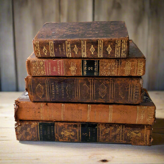 1800s Book Stack of Five Antique Books from Tiggy & Pip - Just €180! Shop now at Tiggy and Pip