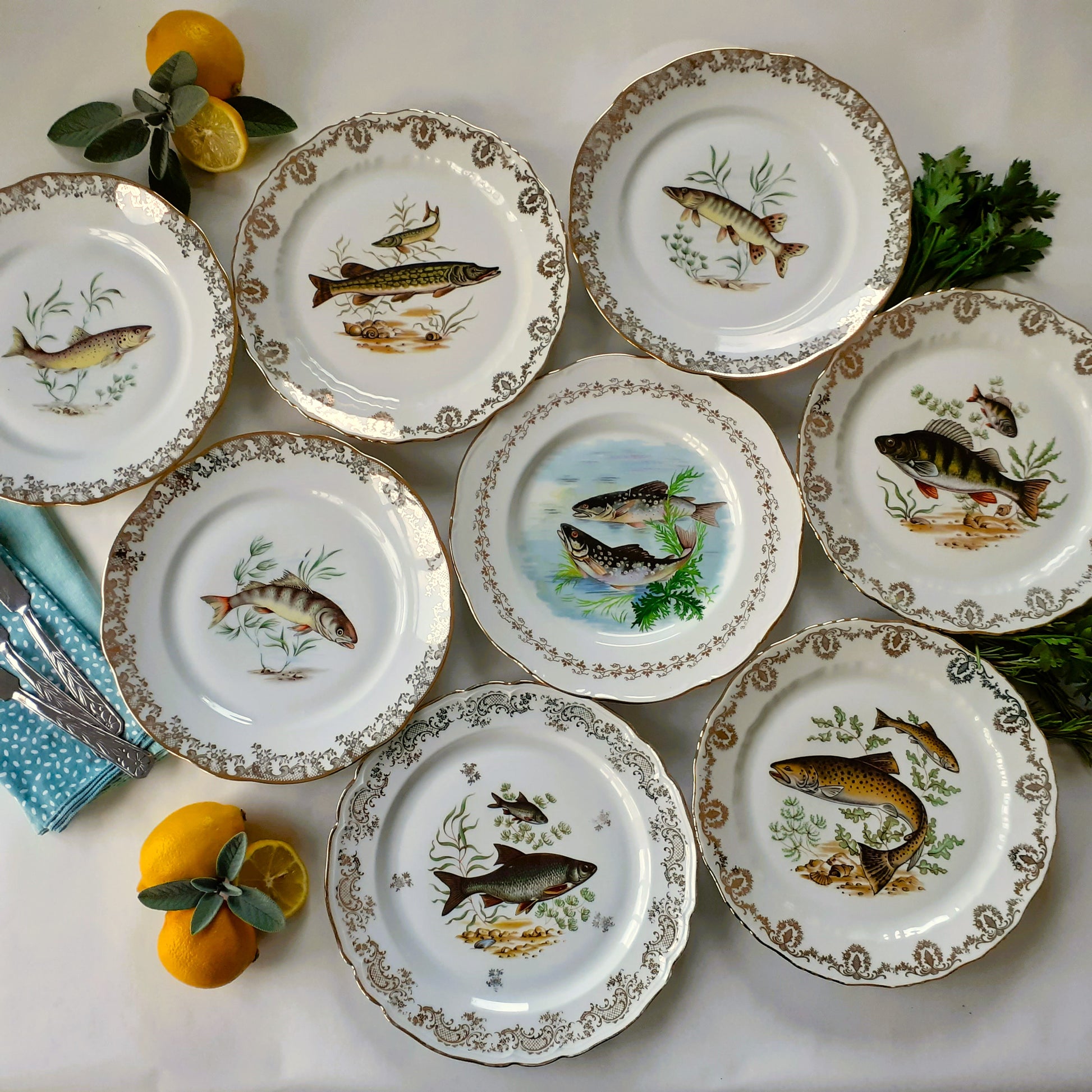 8 Mix and Match Fish Plates from Tiggy & Pip - Just €199! Shop now at Tiggy and Pip