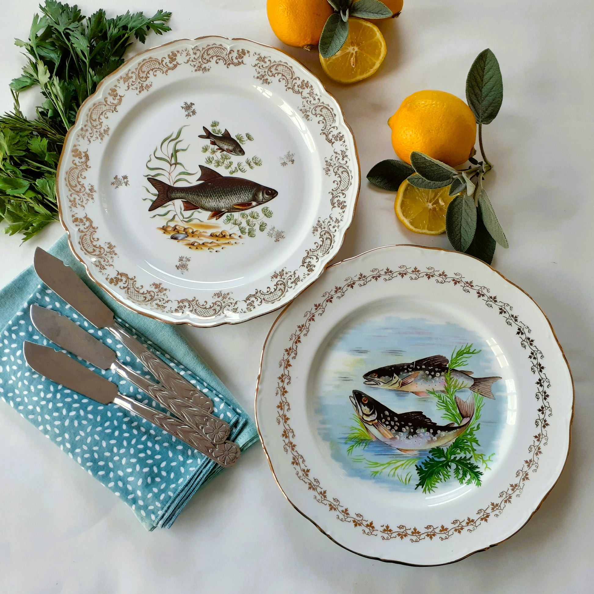 8 Mix and Match Fish Plates from Tiggy & Pip - Just €199! Shop now at Tiggy and Pip