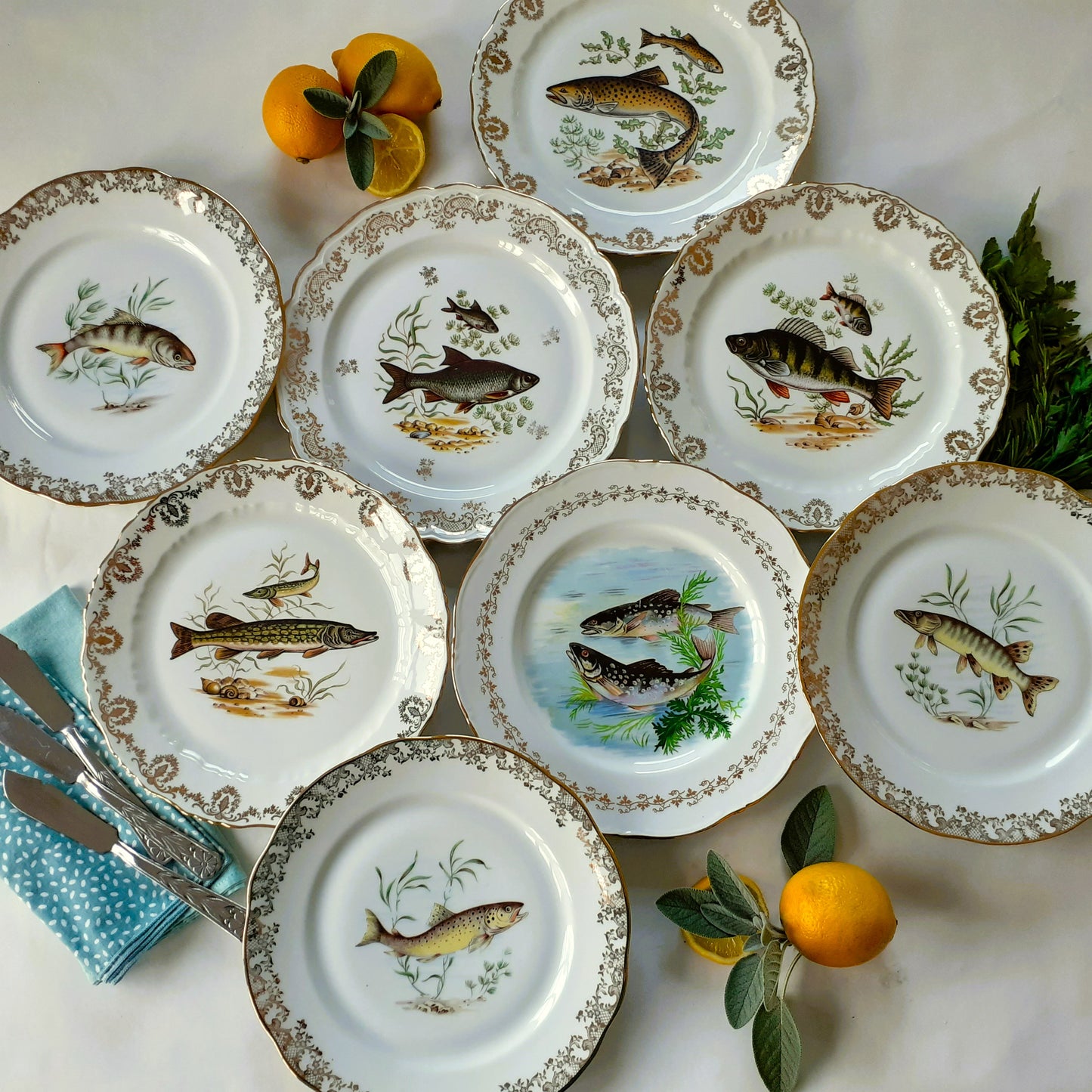 8 Mix and Match Fish Plates from Tiggy & Pip - Just €199! Shop now at Tiggy and Pip