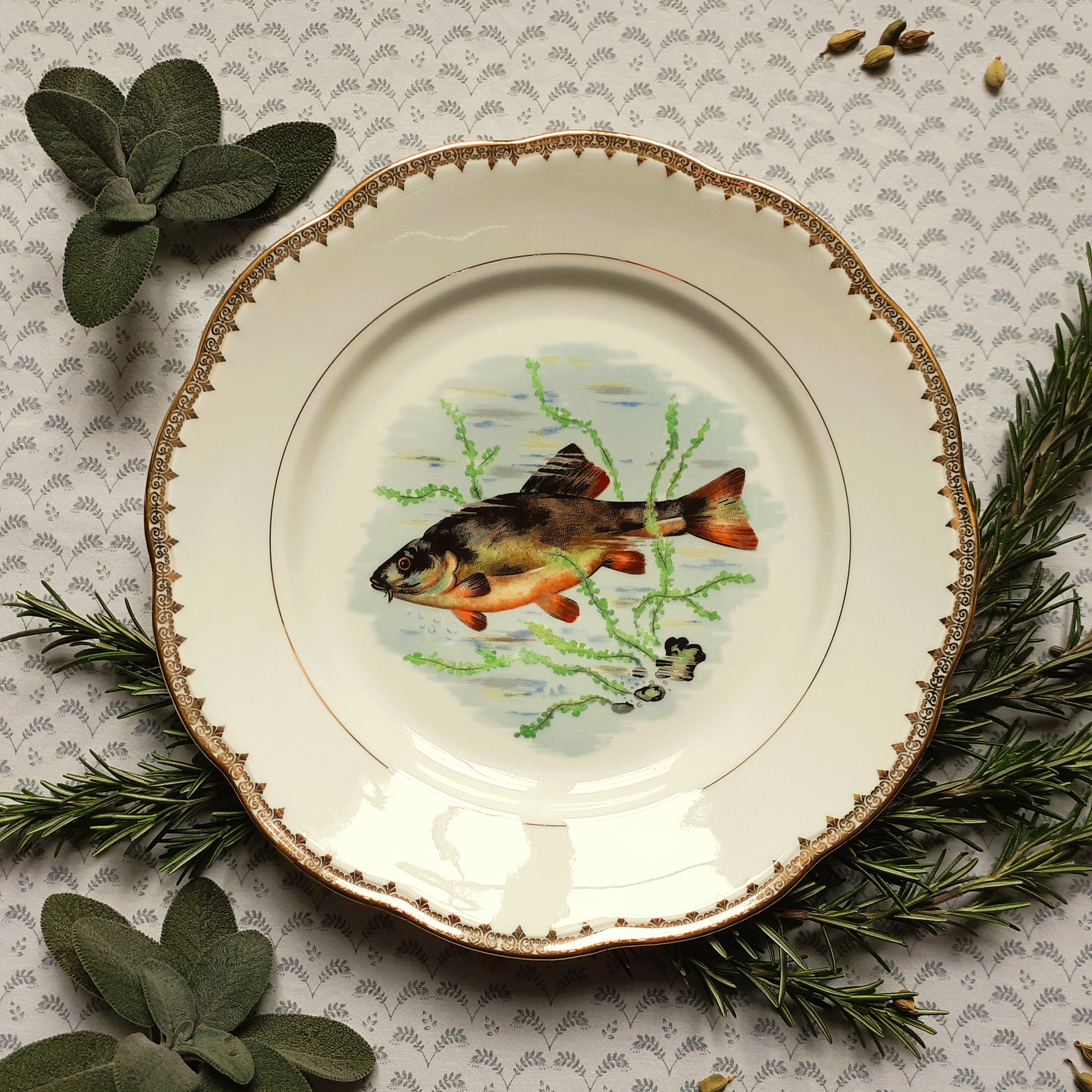 Eight Mix and Match Vintage Fish Plates from Tiggy and Pip - Just €199! Shop now at Tiggy and Pip