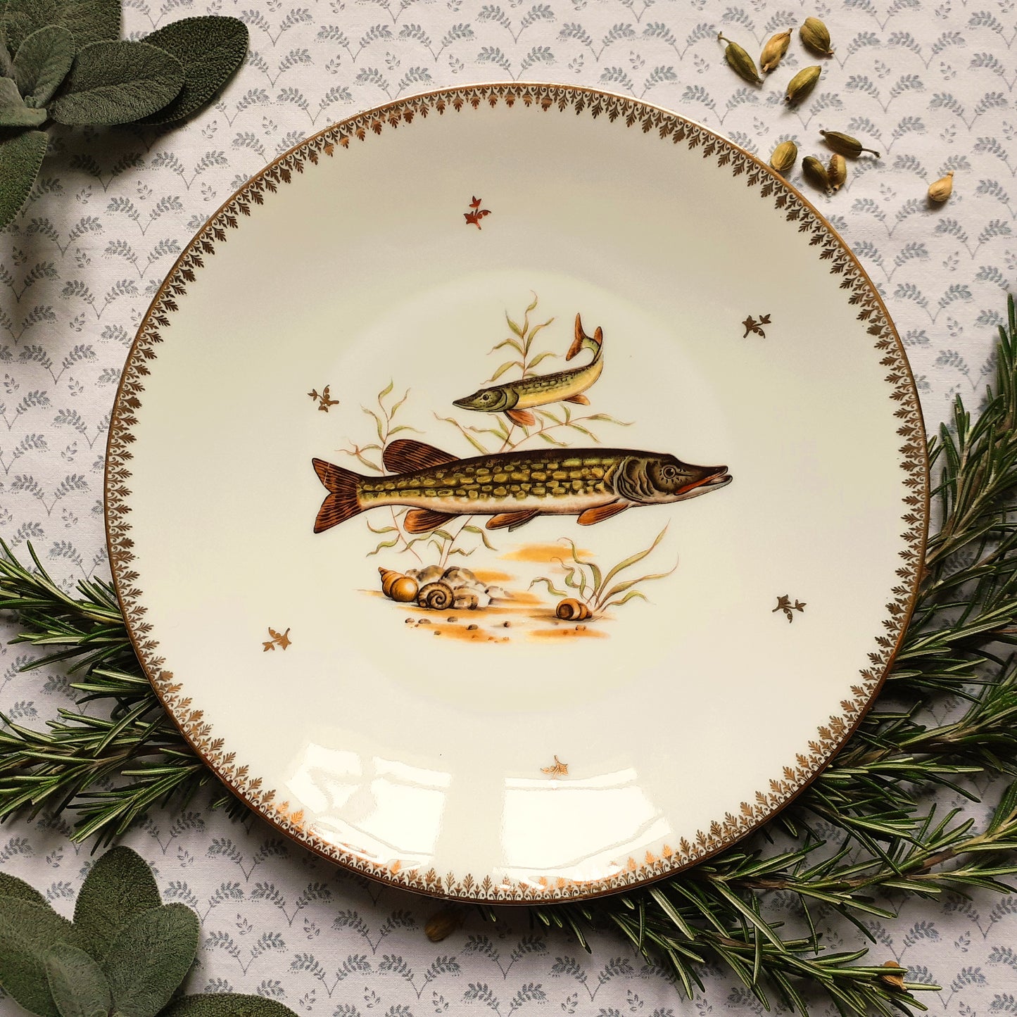 Eight Mix and Match Vintage Fish Plates from Tiggy and Pip - Just €199! Shop now at Tiggy and Pip