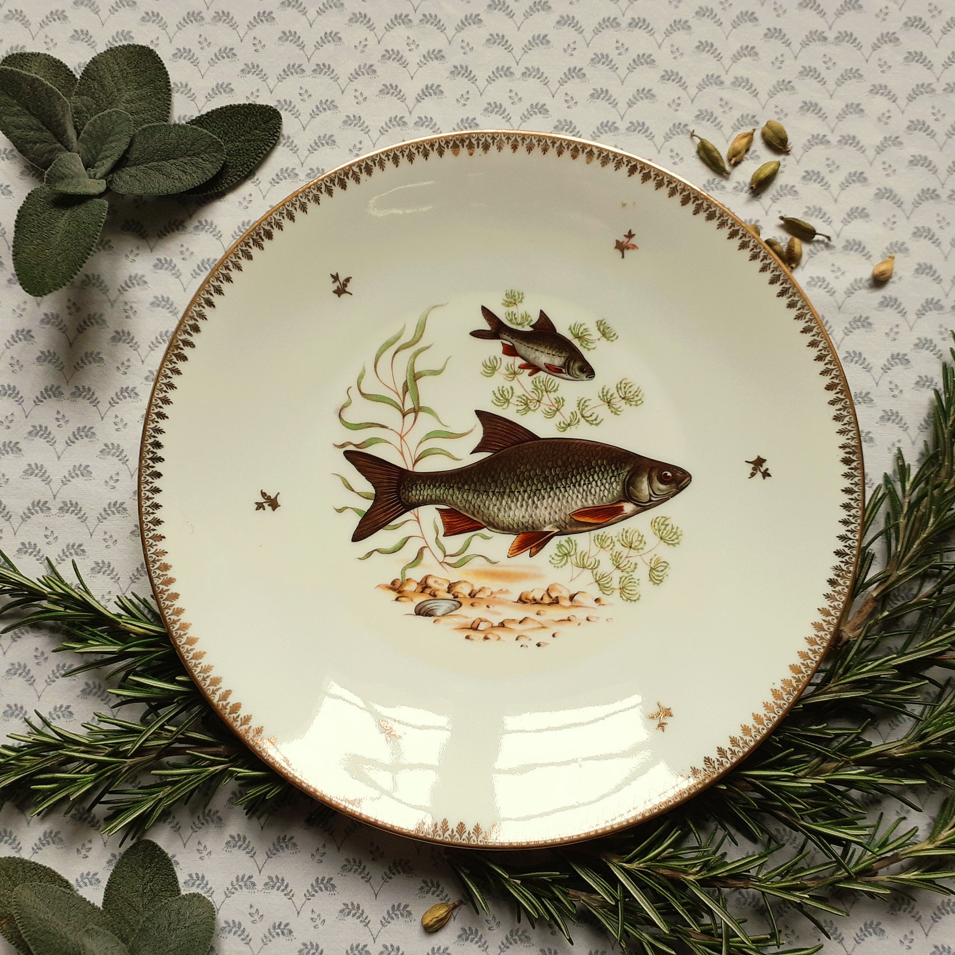 Eight Mix and Match Vintage Fish Plates from Tiggy and Pip - Just €199! Shop now at Tiggy and Pip