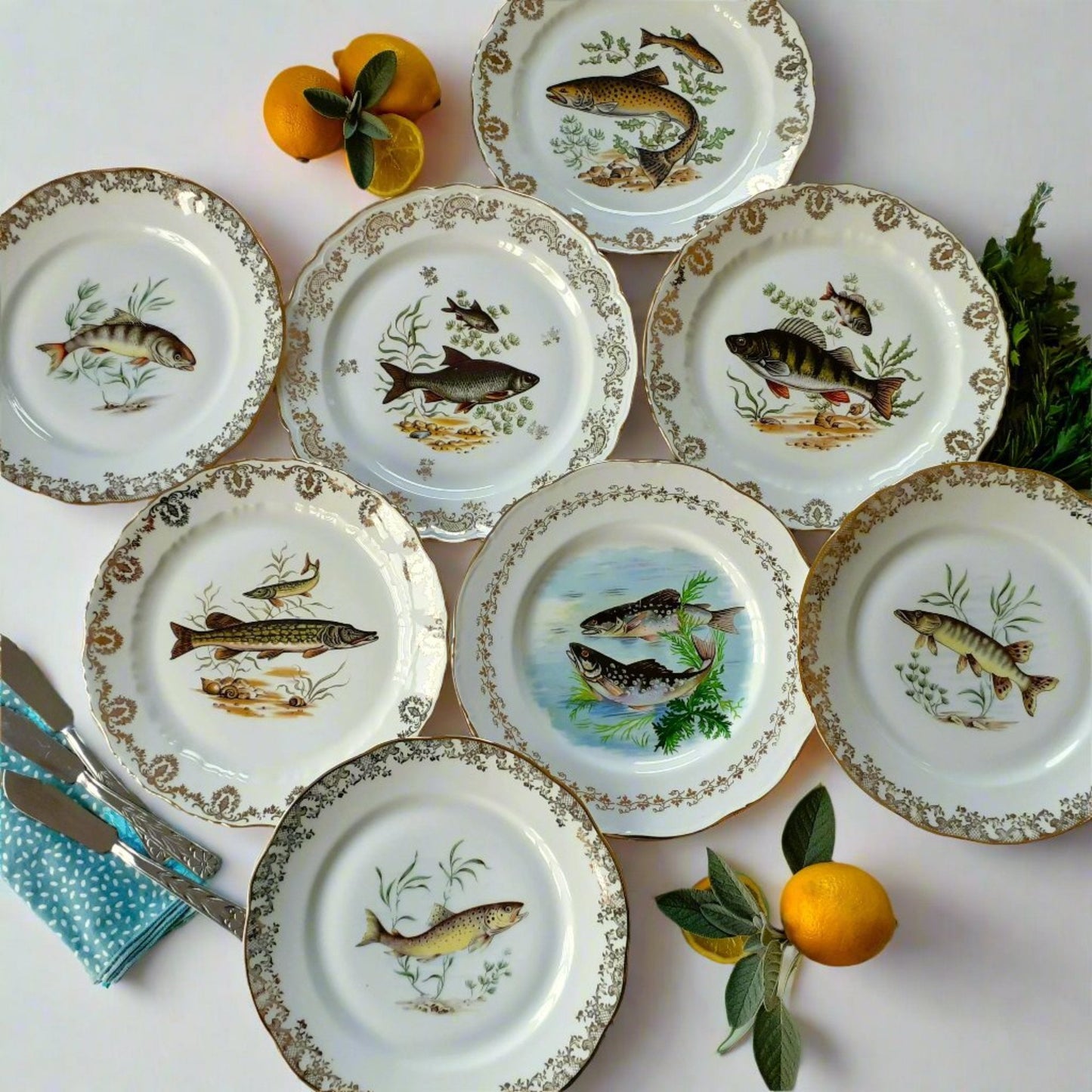 8 Mix and Match Fish Plates from Tiggy & Pip - Just €199! Shop now at Tiggy and Pip