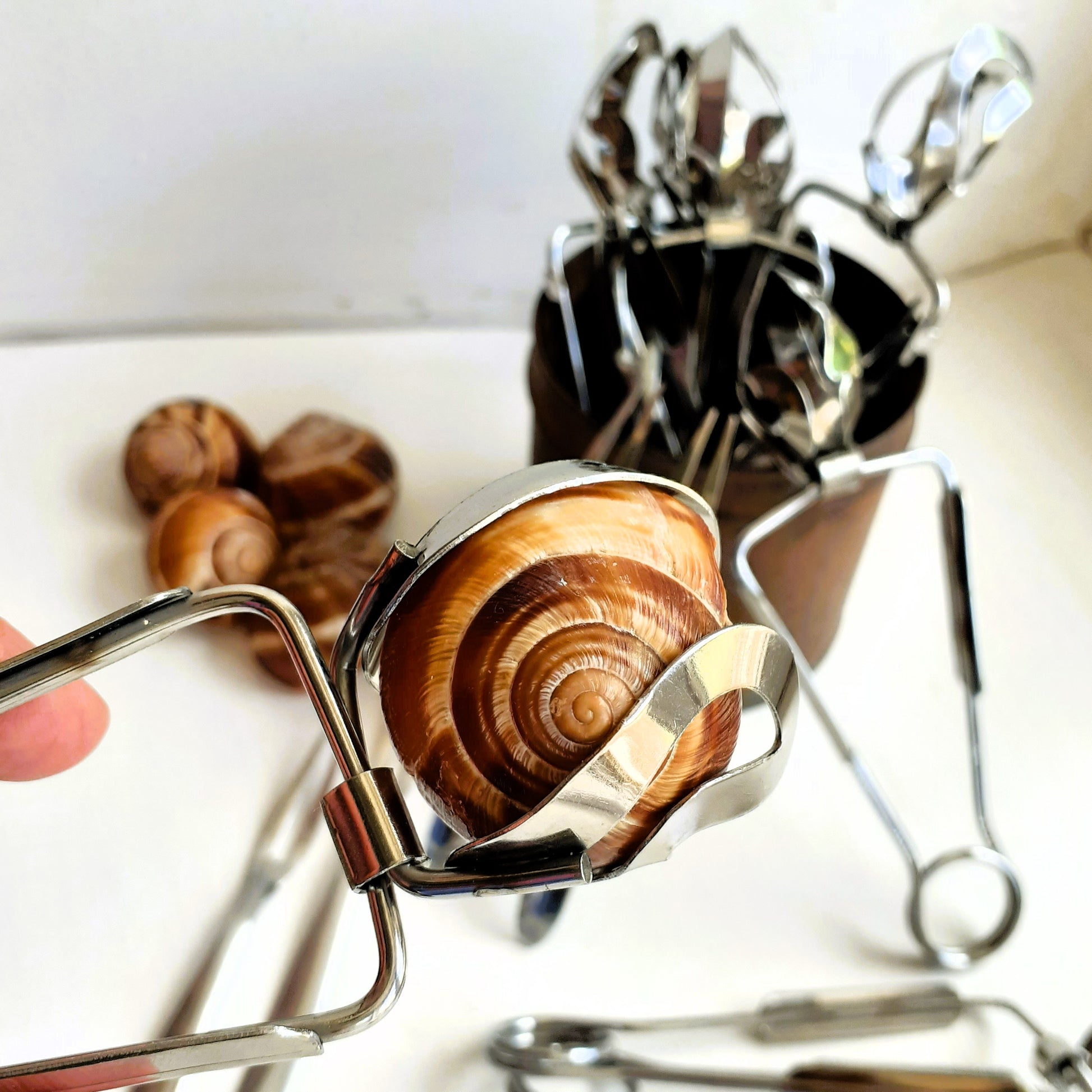 16 Piece Escargot Cutlery Set. Snail Tongs and Forks from Tiggy & Pip - Just €120! Shop now at Tiggy and Pip