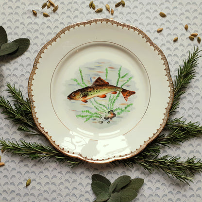 NINE Mix and Match Vintage Fish Plates from Tiggy and Pip - Just €216! Shop now at Tiggy and Pip