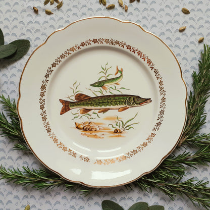 NINE Mix and Match Vintage Fish Plates from Tiggy and Pip - Just €216! Shop now at Tiggy and Pip