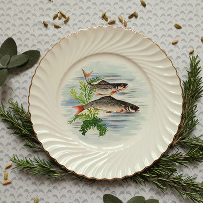 NINE Mix and Match Vintage Fish Plates from Tiggy and Pip - Just €216! Shop now at Tiggy and Pip