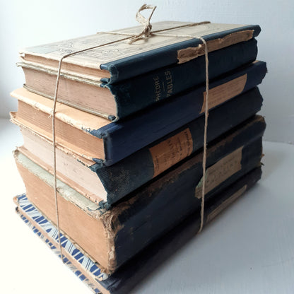 Antique French Inky Book Bundle from Tiggy & Pip - Just €148! Shop now at Tiggy and Pip