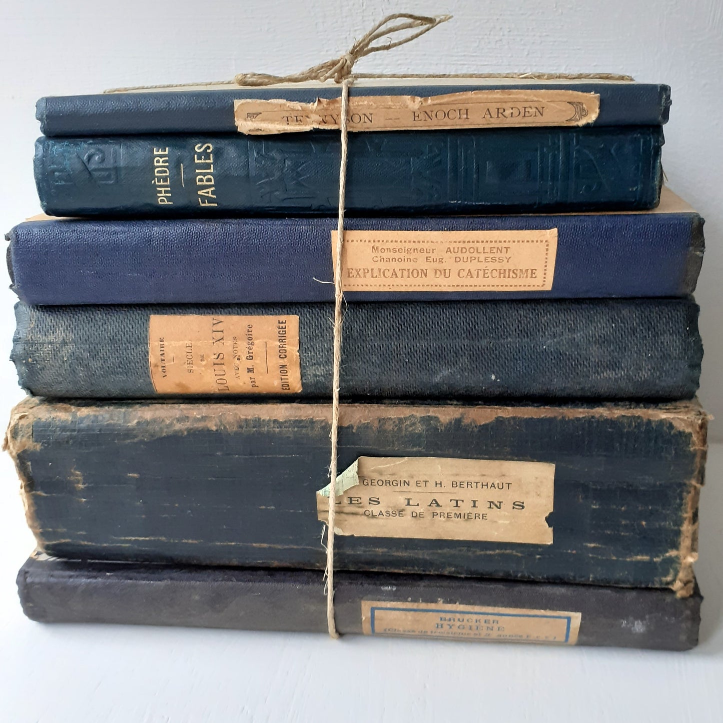 Antique French Inky Book Bundle from Tiggy & Pip - Just €148! Shop now at Tiggy and Pip