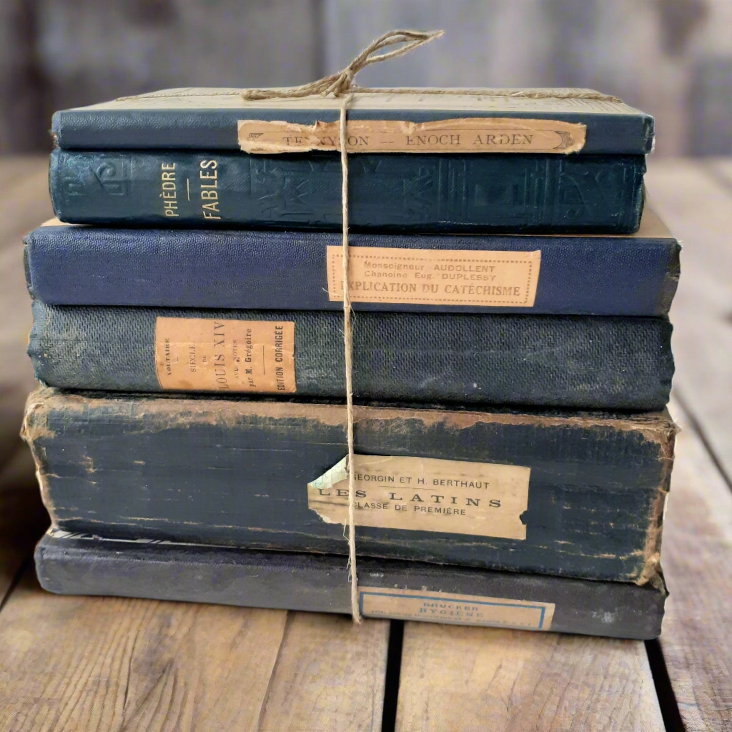 Antique French Inky Book Bundle from Tiggy & Pip - Just €148! Shop now at Tiggy and Pip