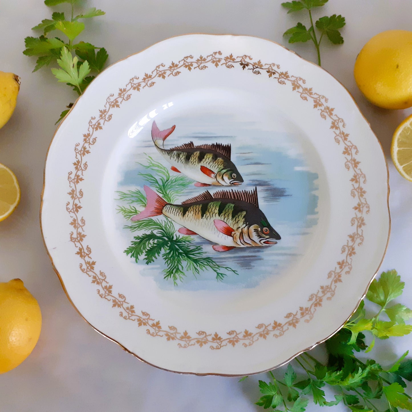 Six 1960s, French, Digoin Porcelain, Fish Plates from Tiggy & Pip - Just €168! Shop now at Tiggy and Pip