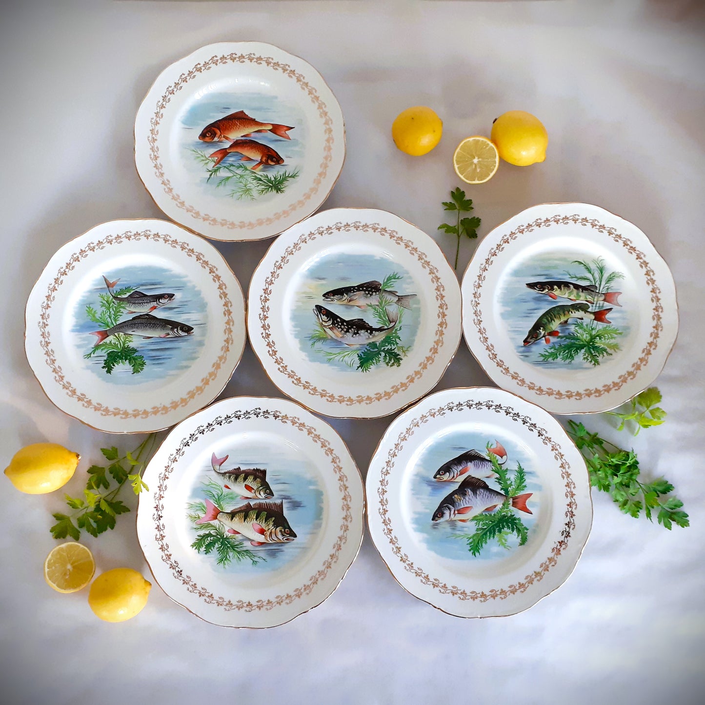 Six 1960s, French, Digoin Porcelain, Fish Plates from Tiggy & Pip - Just €168! Shop now at Tiggy and Pip