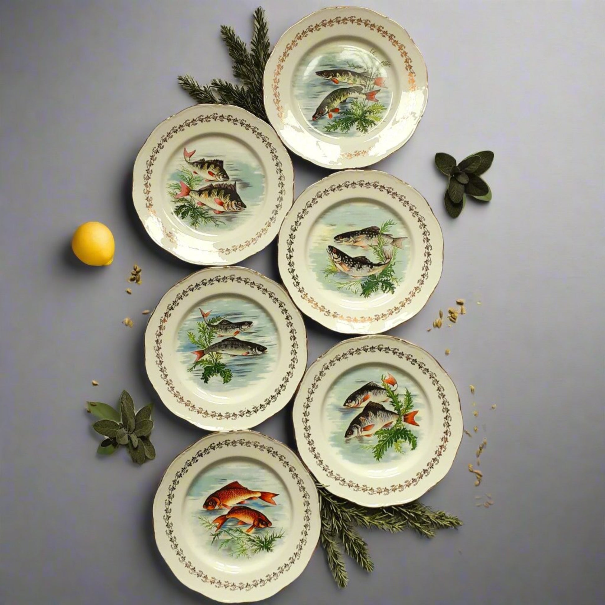 Six 1960s, French, Digoin Porcelain, Fish Plates from Tiggy & Pip - Just €168! Shop now at Tiggy and Pip