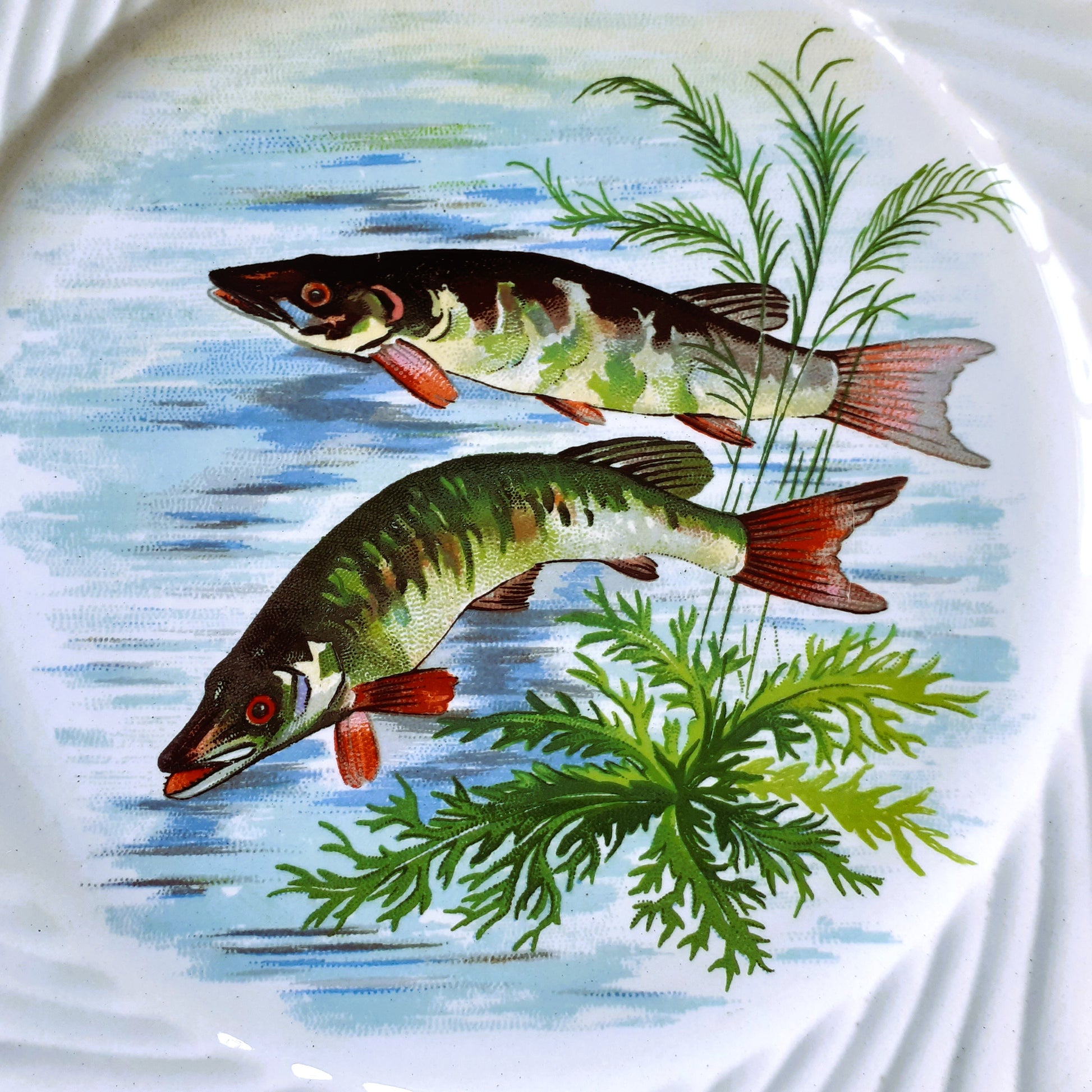 Eight 1950s French Fish Plates from Tiggy & Pip - Just €199! Shop now at Tiggy and Pip