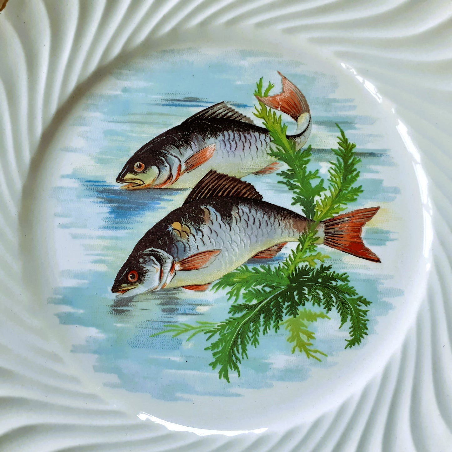 Eight 1950s French Fish Plates from Tiggy & Pip - Just €199! Shop now at Tiggy and Pip