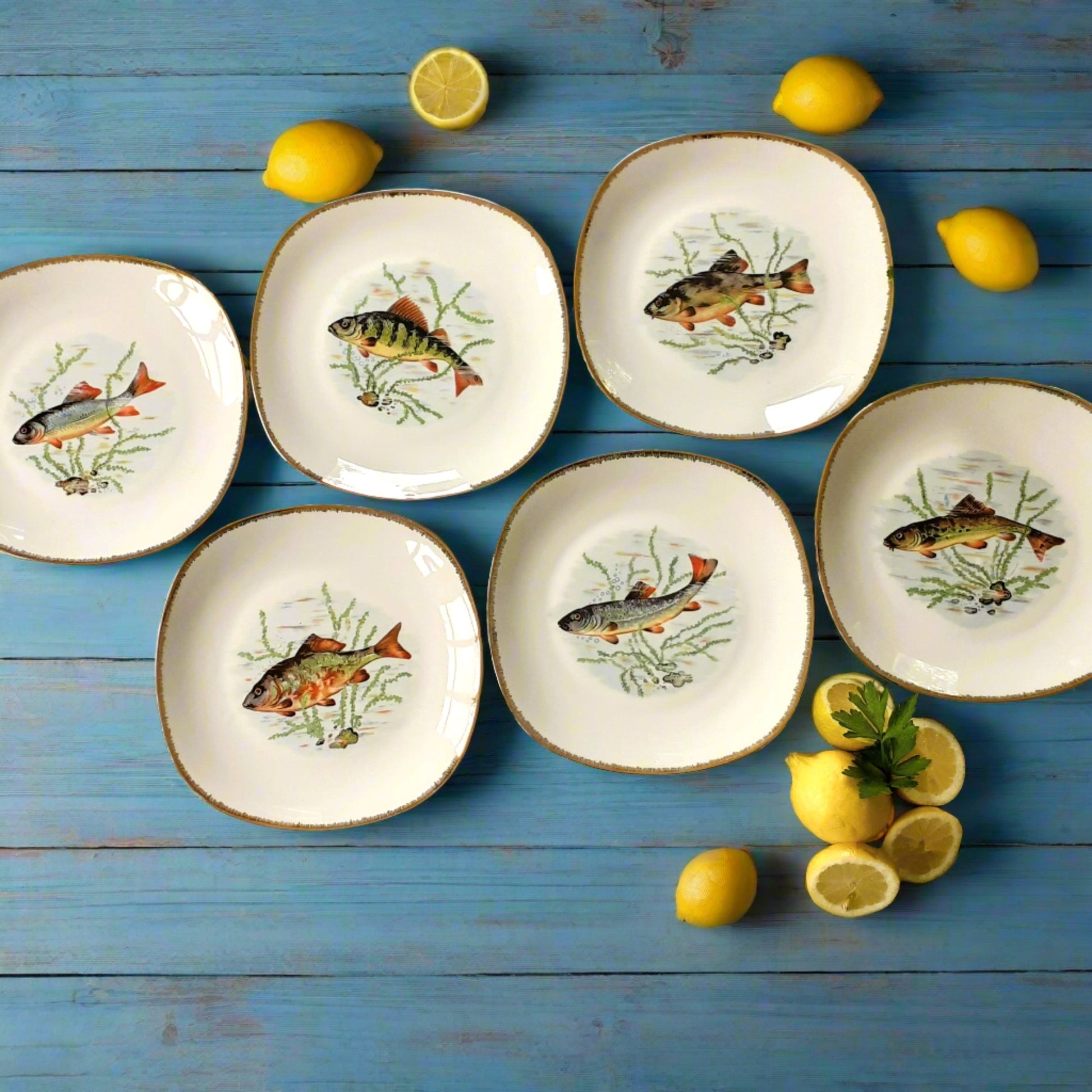 Six French Porcelain Fish Plates from Tiggy & Pip - Just €168! Shop now at Tiggy and Pip