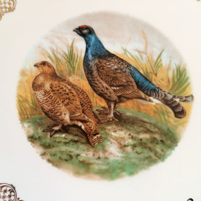 Four Game Bird Plates. Limoges Porcelain from Tiggy & Pip - Just €112! Shop now at Tiggy and Pip