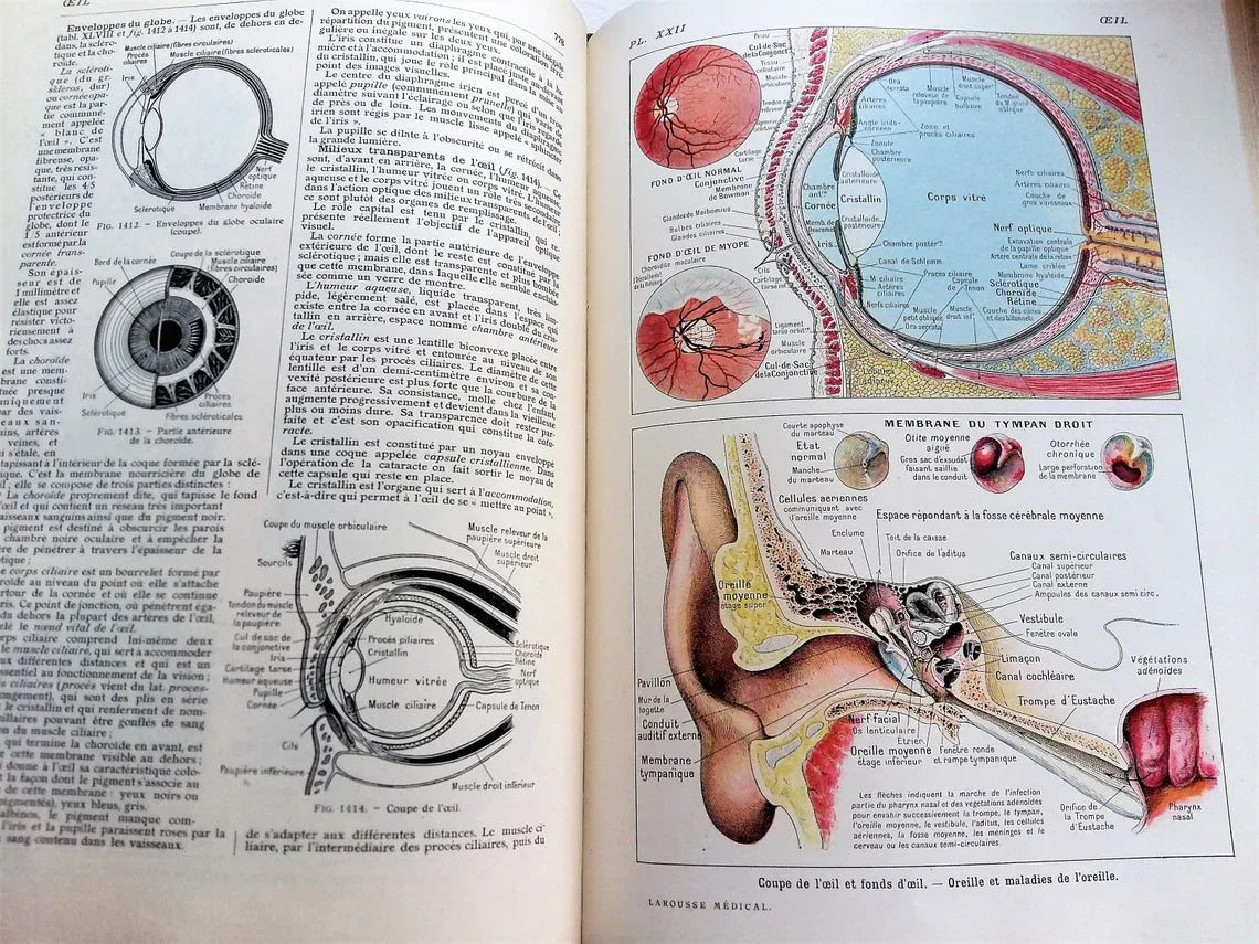 Medical Dictionary. 1923 Larousse Médical Illustré from Tiggy & Pip - Just €149! Shop now at Tiggy and Pip