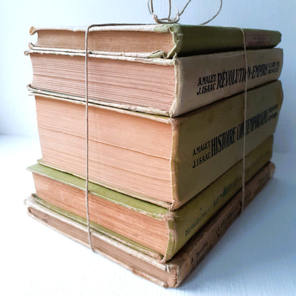 Lime Green Book Stack of French School Books from Tiggy & Pip - Just €120! Shop now at Tiggy and Pip