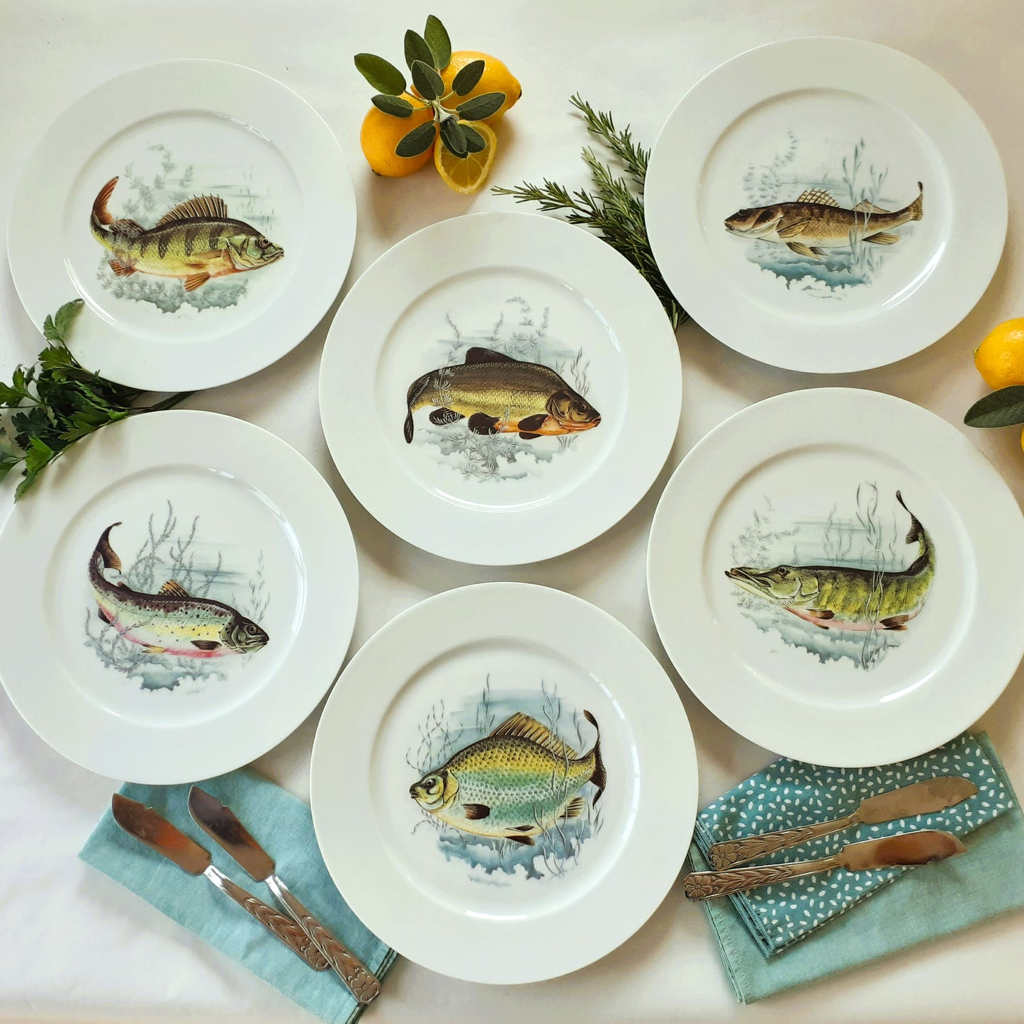 Six Limoges Porcelain Fish Plates from Tiggy & Pip - Just €174! Shop now at Tiggy and Pip