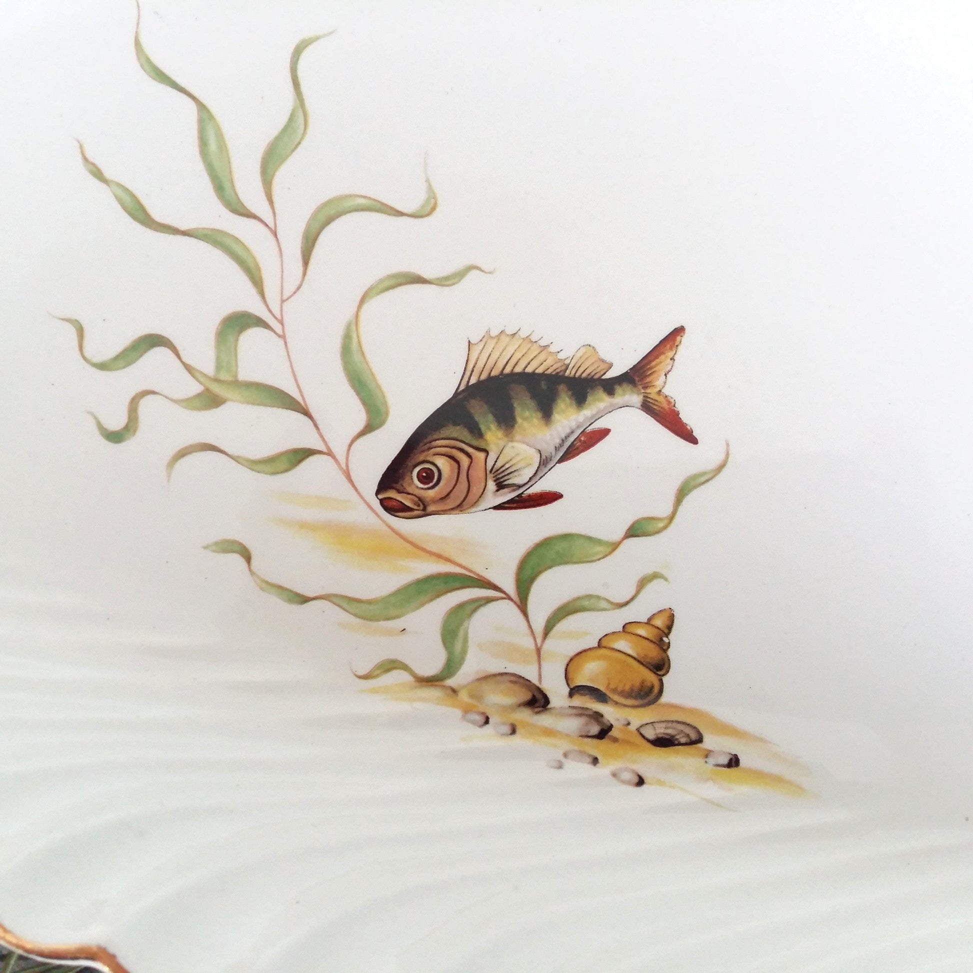 Extra Long 1950s Lunéville Fish Platter from Tiggy & Pip - Just €160! Shop now at Tiggy and Pip