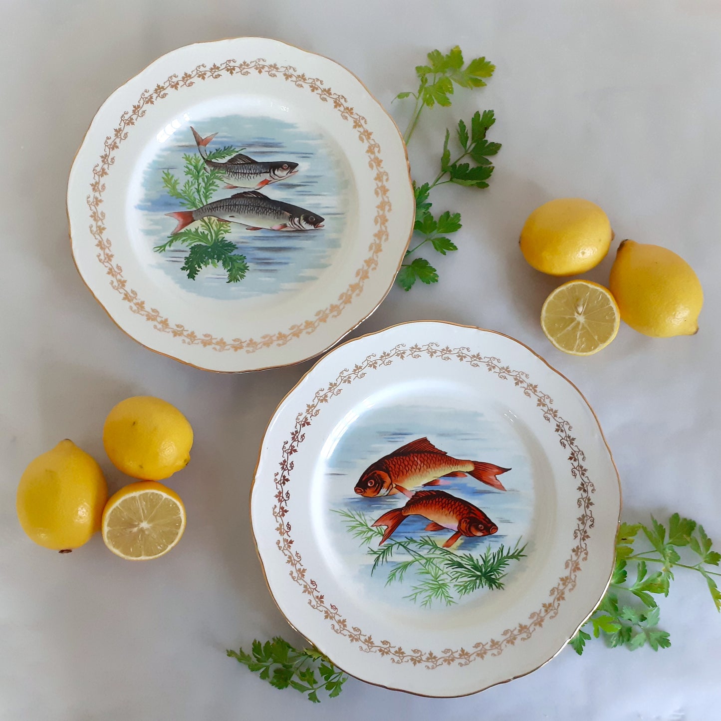 TEN Mix and Match Vintage Fish Plates from Tiggy and Pip - Just €240! Shop now at Tiggy and Pip