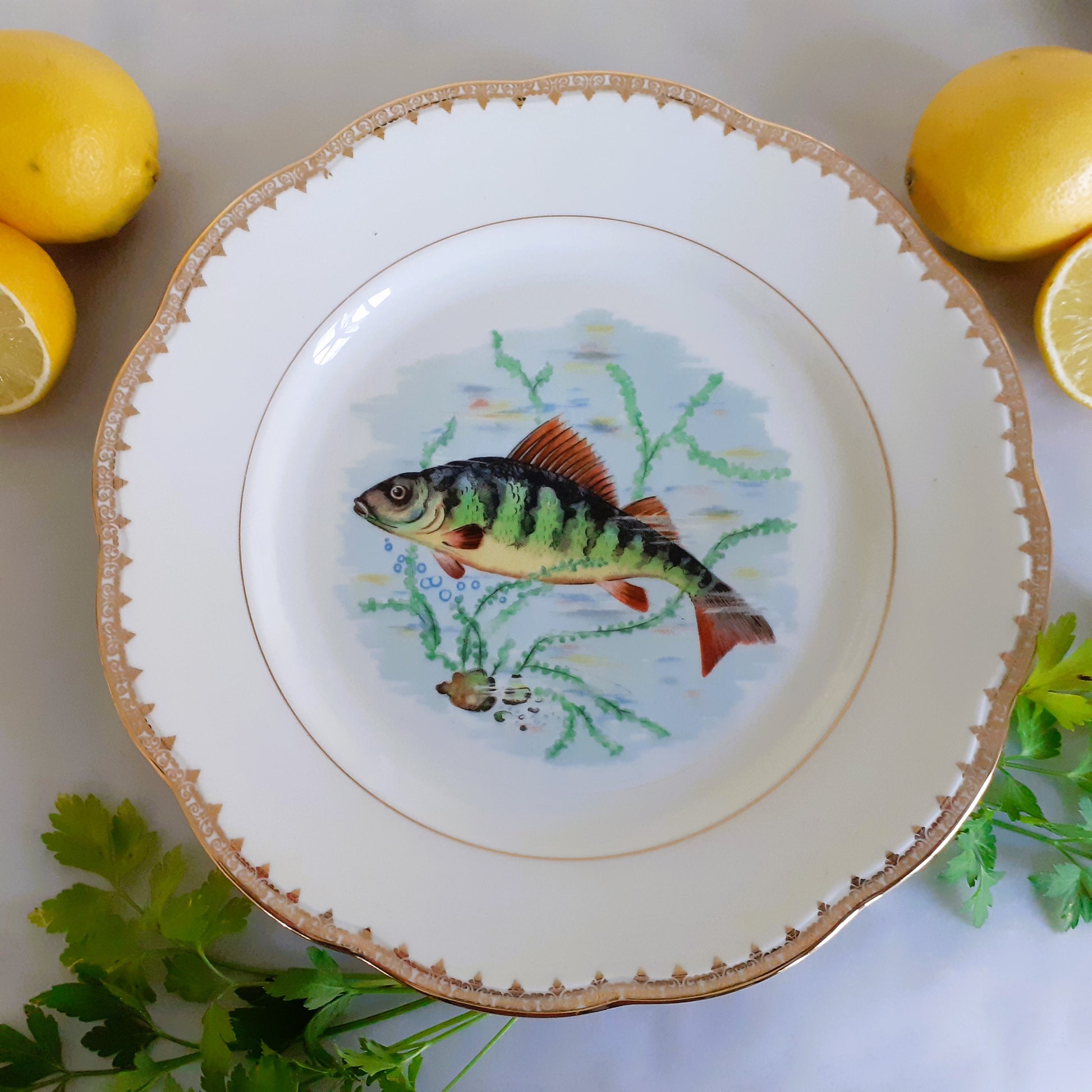 TEN Mix and Match Vintage Fish Plates from Tiggy and Pip - Just €240! Shop now at Tiggy and Pip