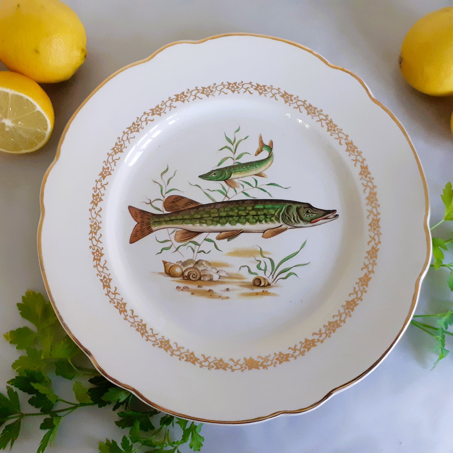 TEN Mix and Match Vintage Fish Plates from Tiggy and Pip - Just €240! Shop now at Tiggy and Pip