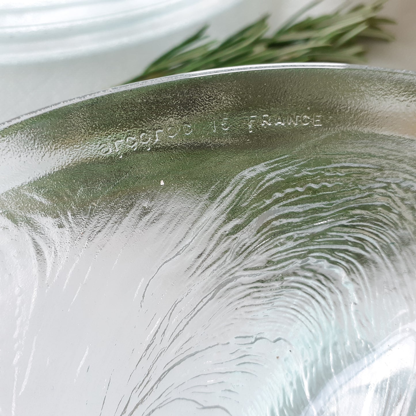 SIX Arcoroc Glass Oyster Plates from Tiggy & Pip - Just €168! Shop now at Tiggy and Pip