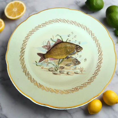 Set of Six 1950s Fish Plates from Tiggy & Pip - Just €156! Shop now at Tiggy and Pip