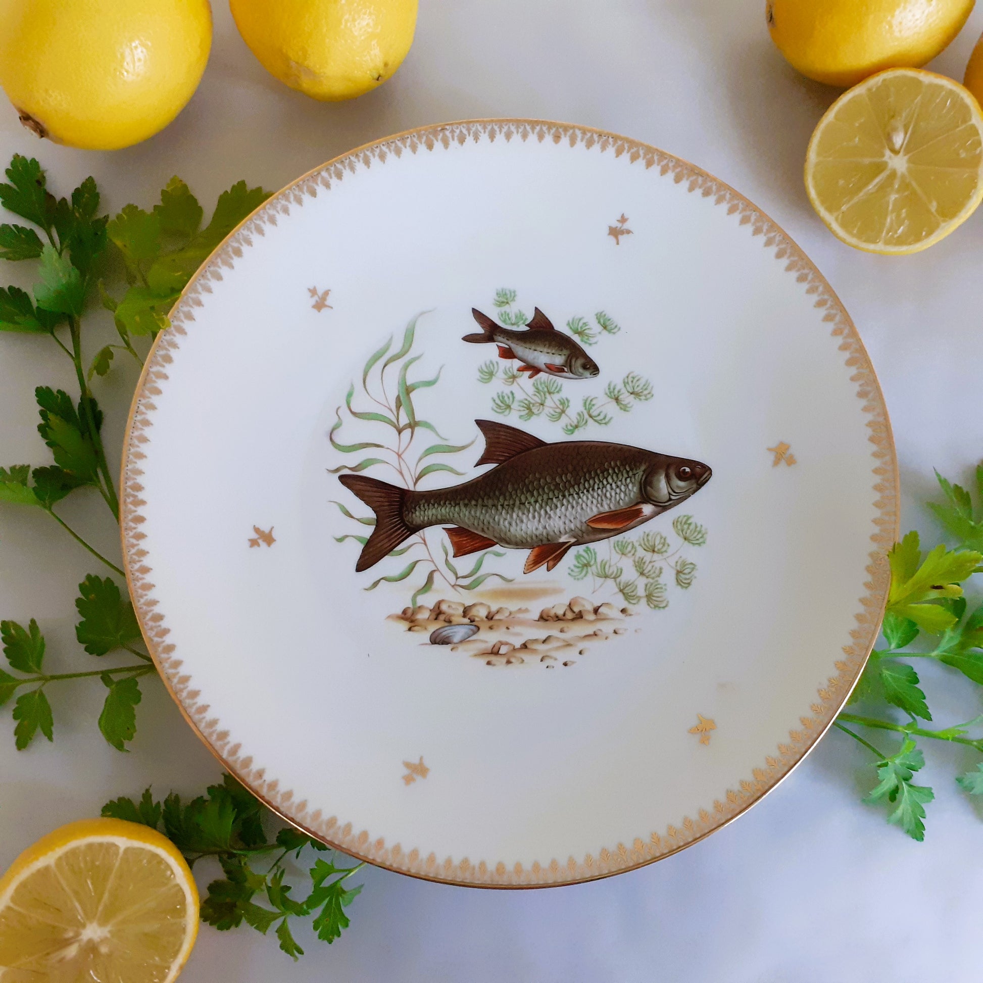 Eight Mix and Match Vintage Fish Plates from Tiggy and Pip - Just €199! Shop now at Tiggy and Pip