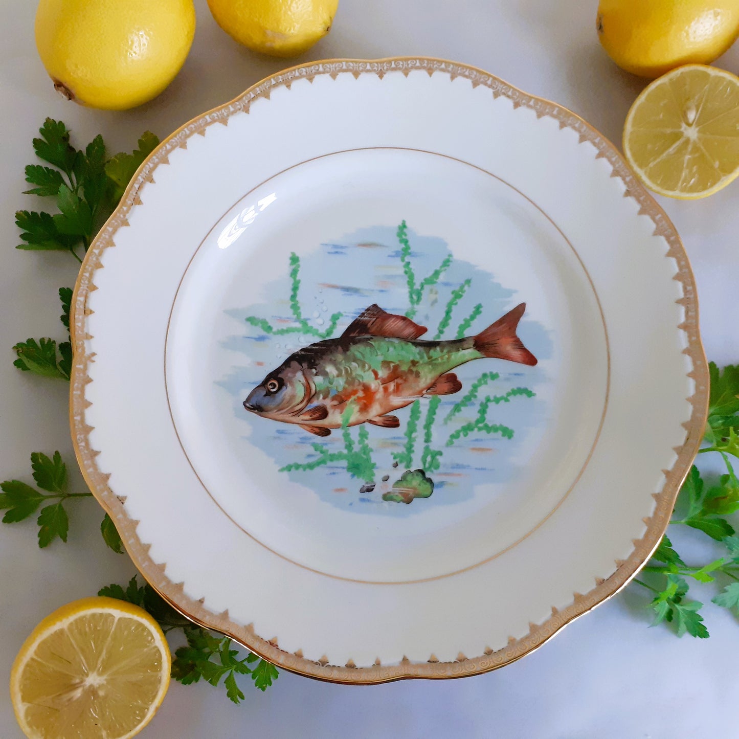 Eight Mix and Match Vintage Fish Plates from Tiggy and Pip - Just €199! Shop now at Tiggy and Pip