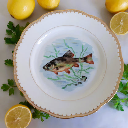 Eight Mix and Match Vintage Fish Plates from Tiggy and Pip - Just €199! Shop now at Tiggy and Pip