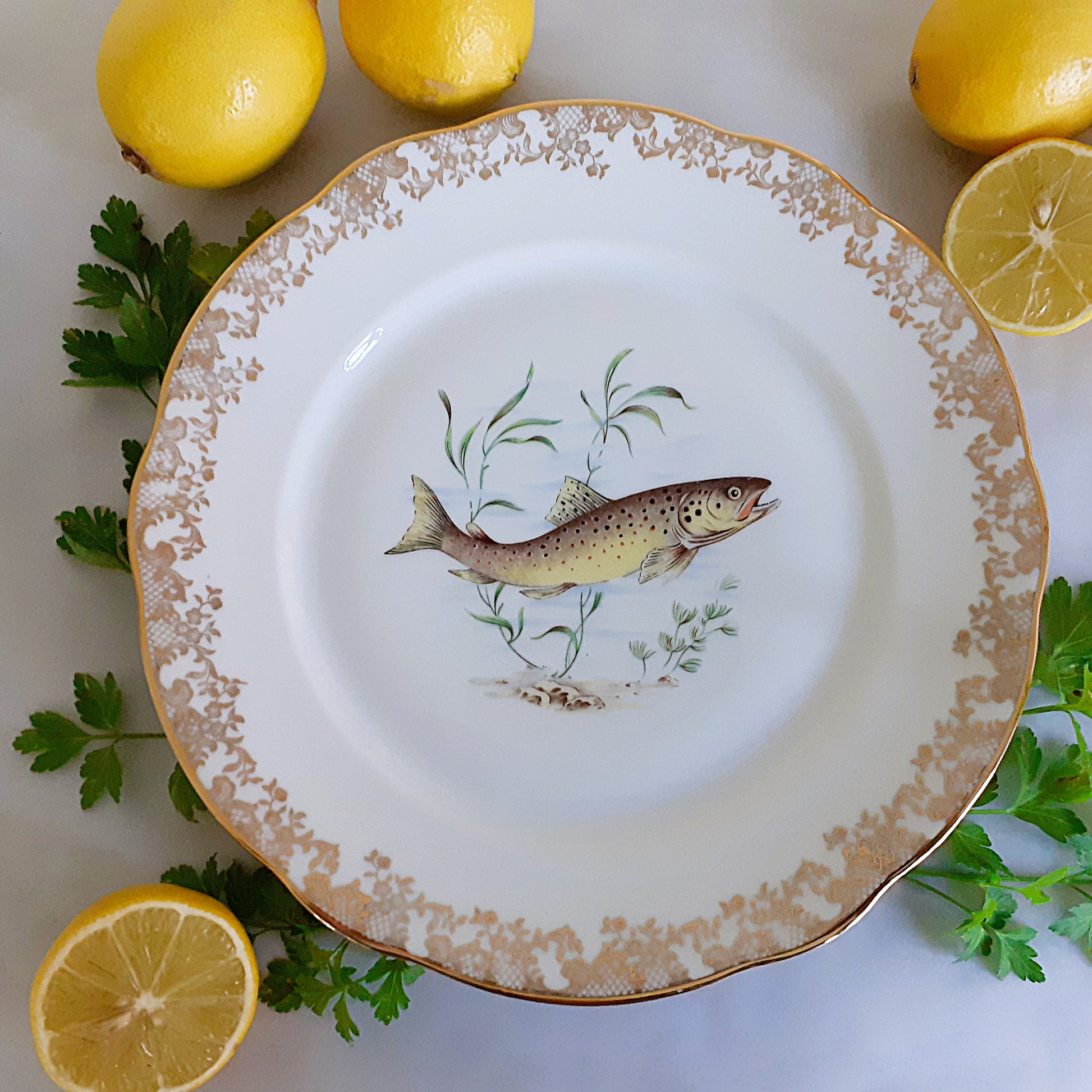 Eight Mix and Match Vintage Fish Plates from Tiggy and Pip - Just €199! Shop now at Tiggy and Pip