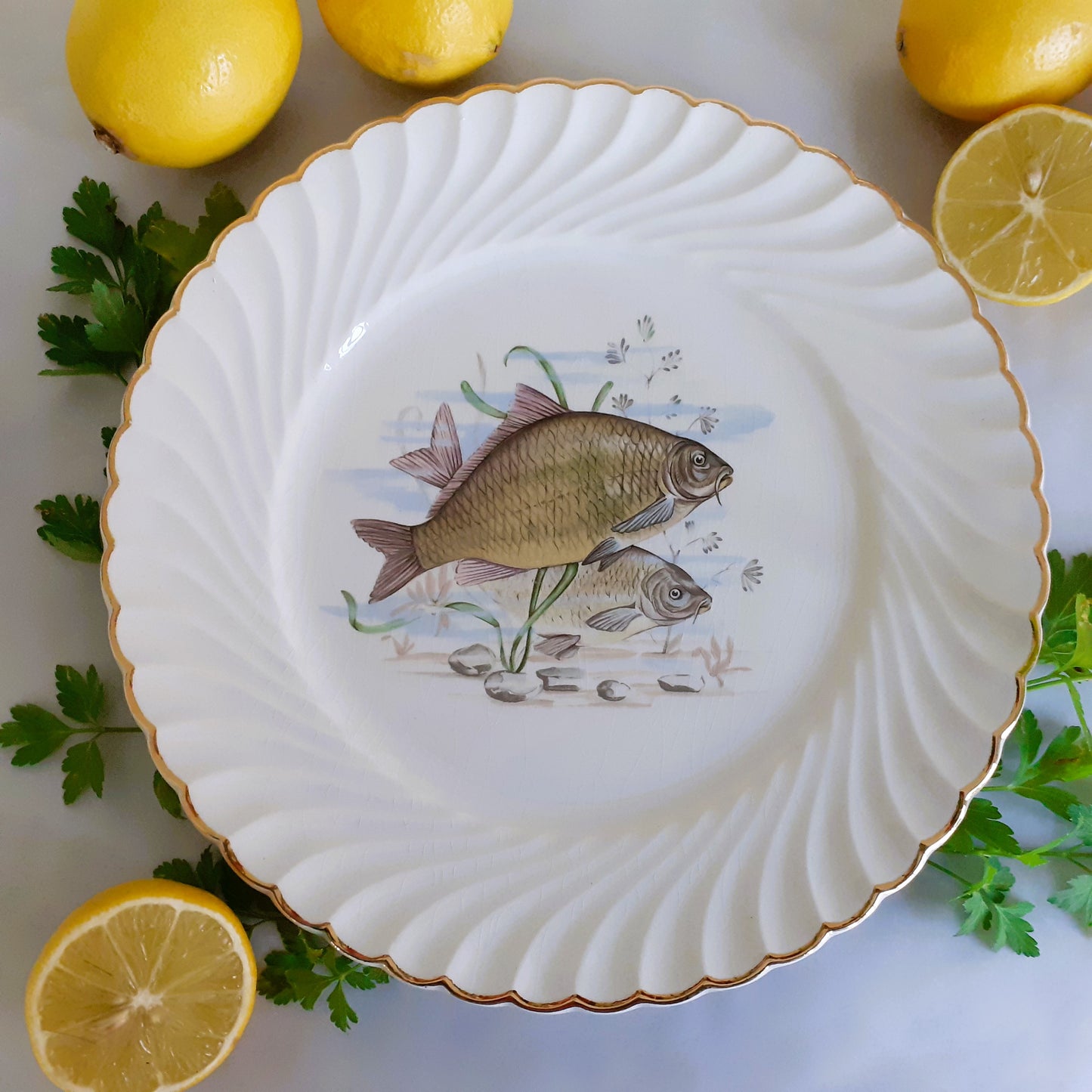 Eight Mix and Match Vintage Fish Plates from Tiggy and Pip - Just €199! Shop now at Tiggy and Pip