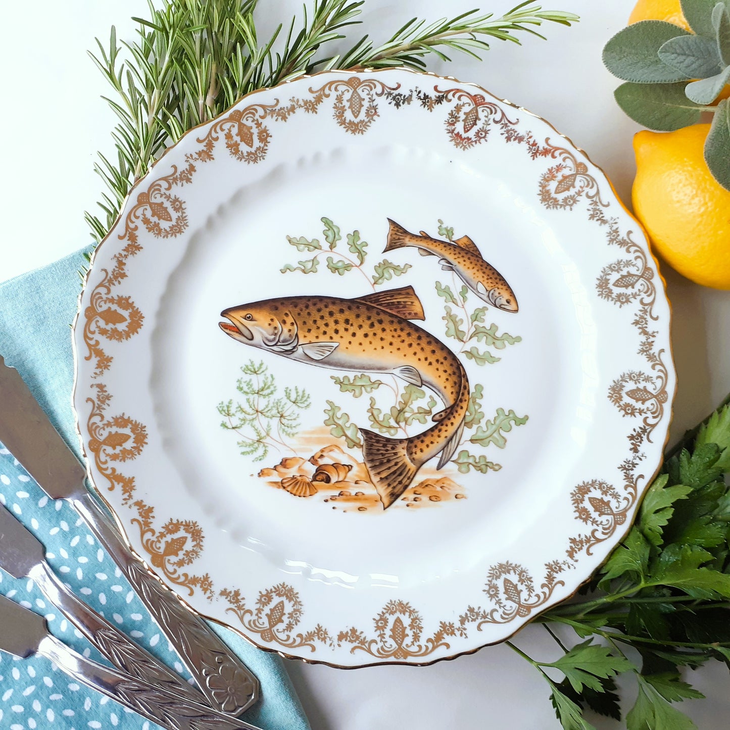 Set of Five French Porcelain Fish Plates from Tiggy & Pip - Just €140! Shop now at Tiggy and Pip