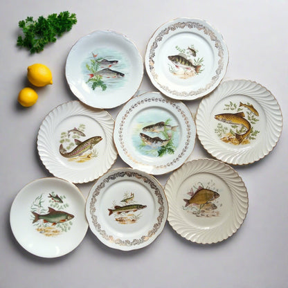 Eight Mix and Match Vintage Fish Plates from Tiggy and Pip - Just €0! Shop now at Tiggy and Pip