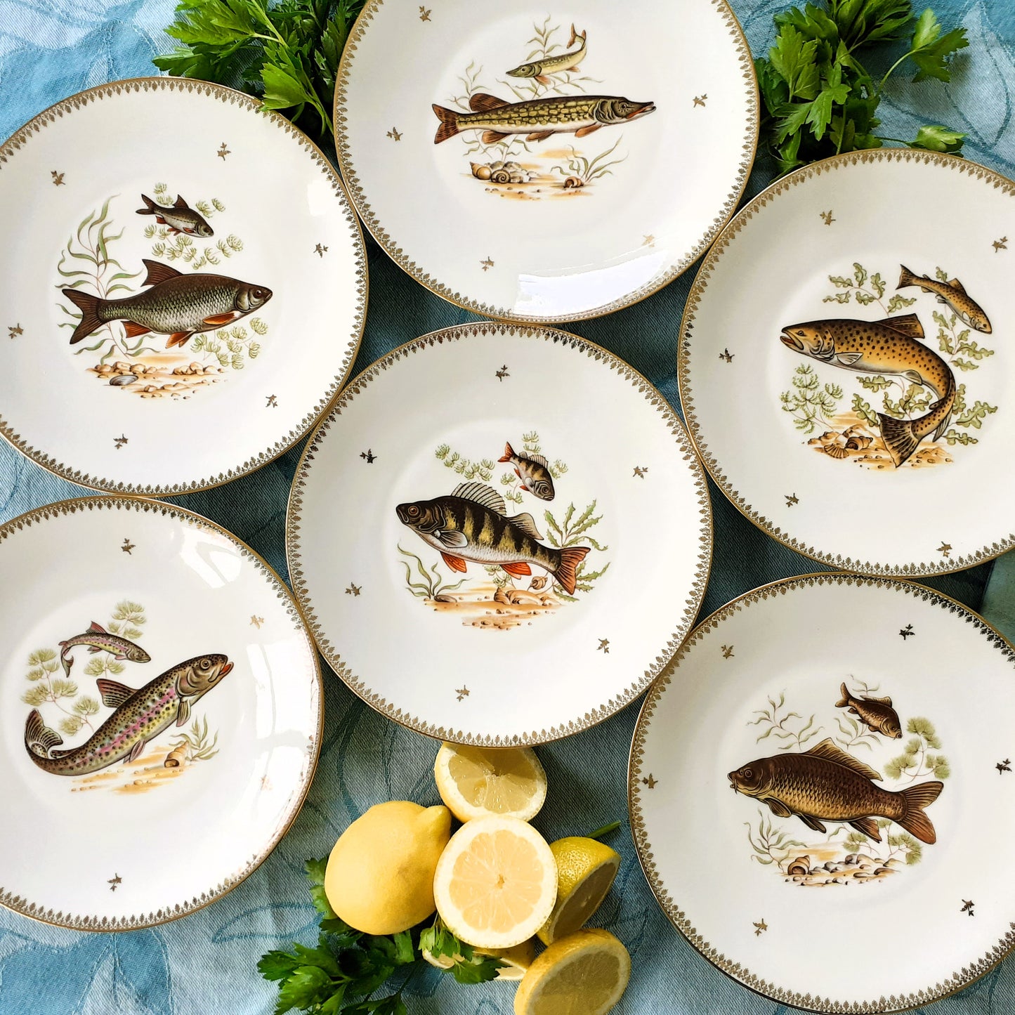 Six Limoges Porcelain Fish Plates from Tiggy & Pip - Just €156! Shop now at Tiggy and Pip