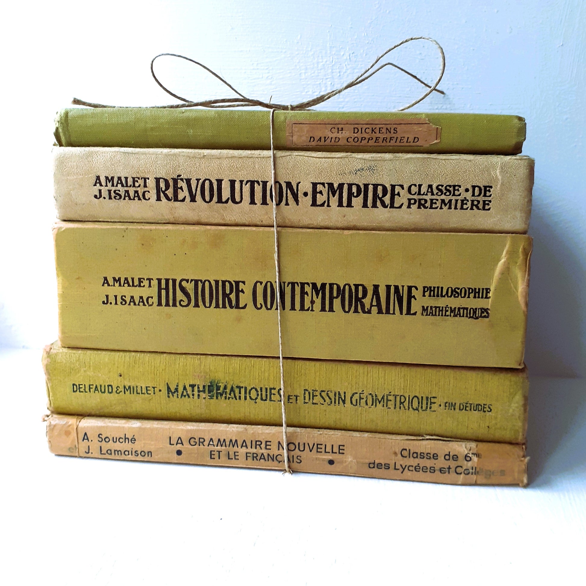 Lime Green Book Stack of French School Books from Tiggy & Pip - Just €130! Shop now at Tiggy and Pip