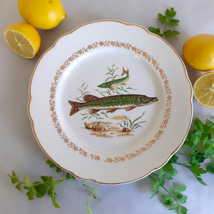 NINE Mix and Match Vintage Fish Plates from Tiggy and Pip - Just €216! Shop now at Tiggy and Pip