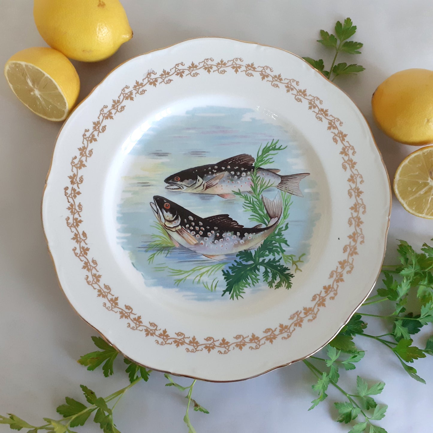 NINE Mix and Match Vintage Fish Plates from Tiggy and Pip - Just €216! Shop now at Tiggy and Pip