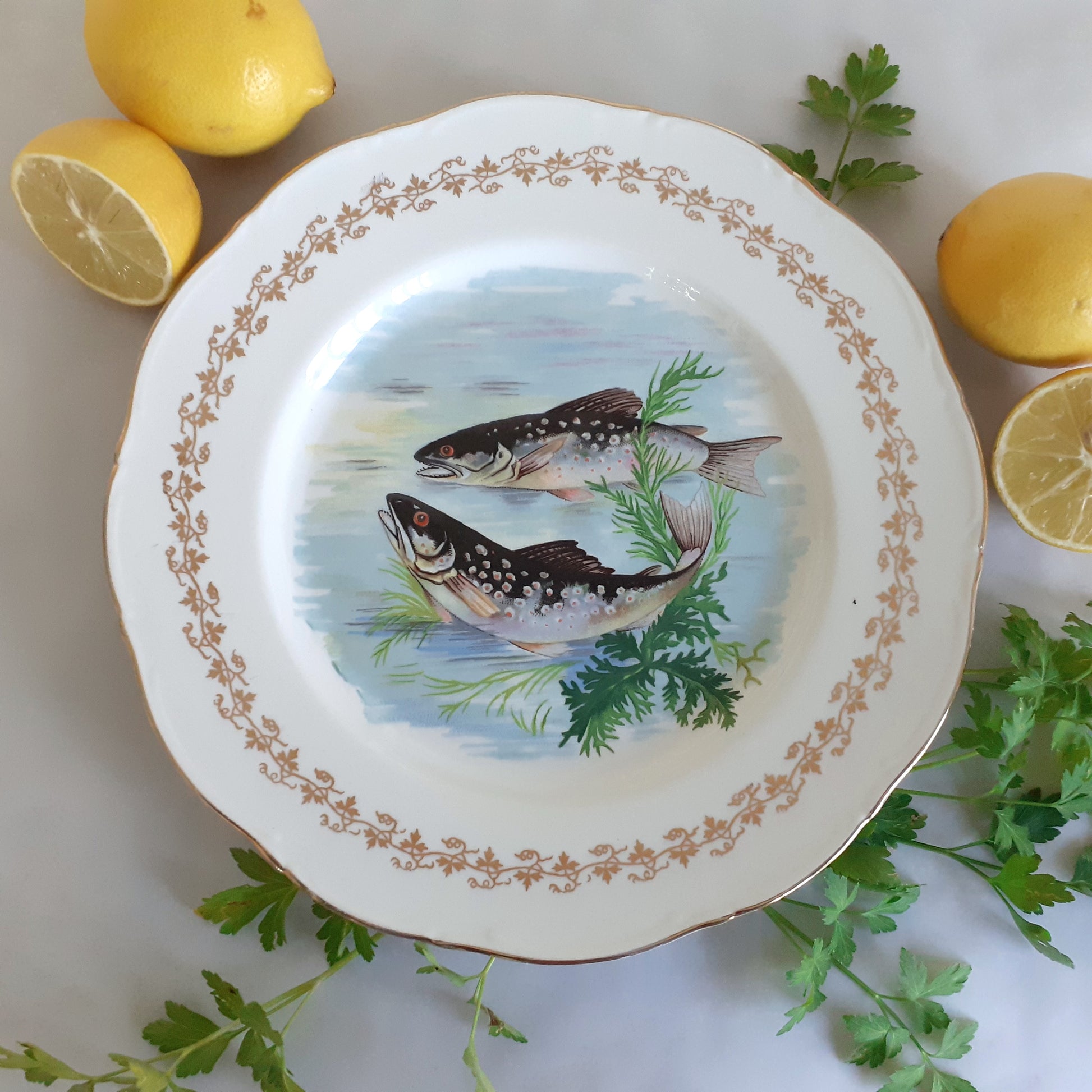 NINE Mix and Match Vintage Fish Plates from Tiggy and Pip - Just €216! Shop now at Tiggy and Pip