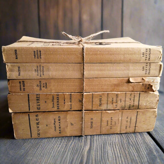 Five Antique Books. Stack of Classic French Literature from Tiggy & Pip - Just €120! Shop now at Tiggy and Pip