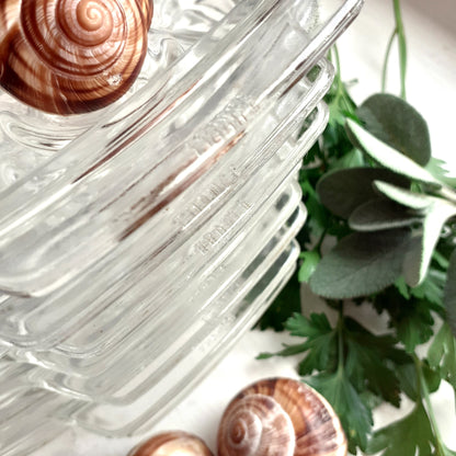 Set of 8 Pyrex Escargot Dishes from Tiggy & Pip - Just €160! Shop now at Tiggy and Pip