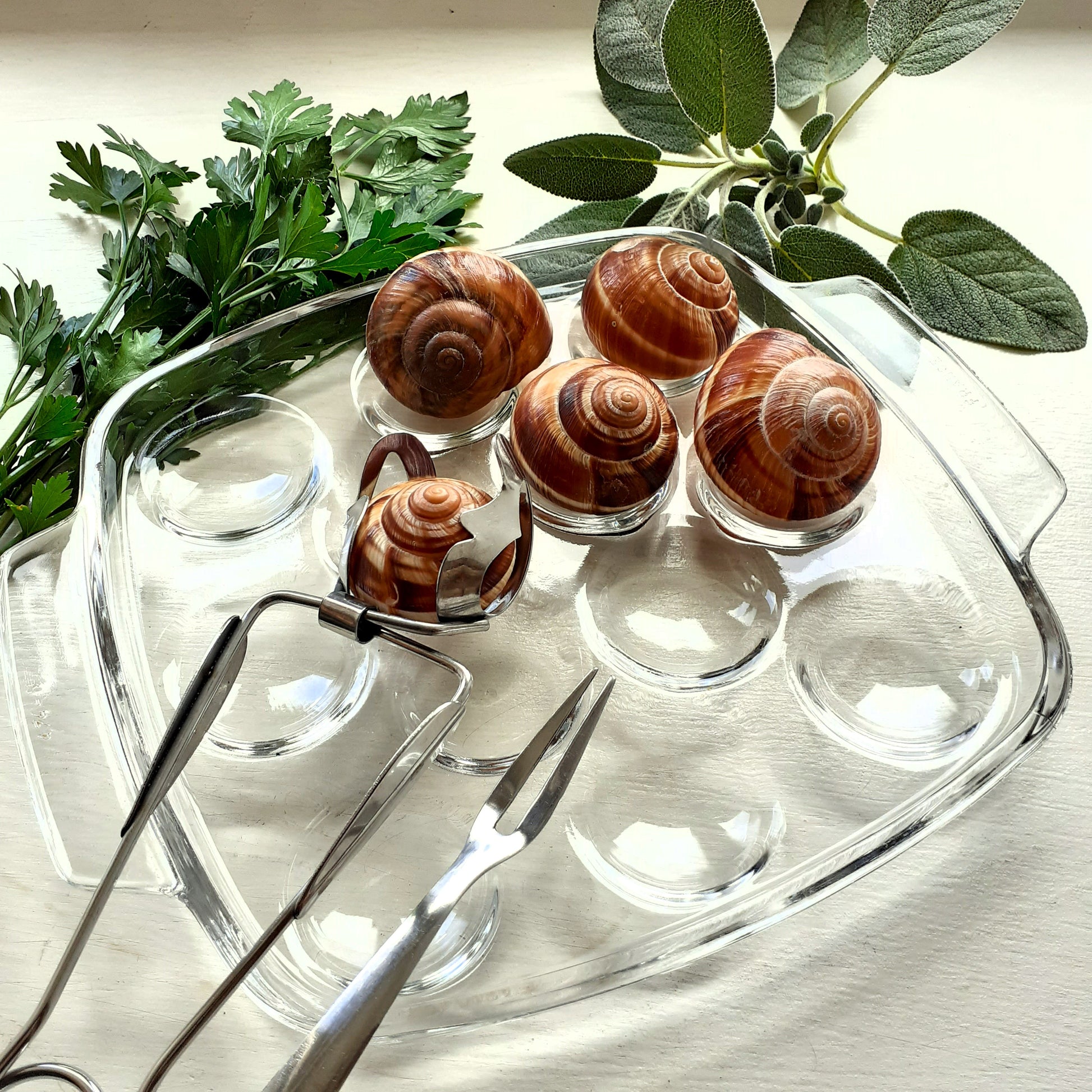 Set of 8 Pyrex Escargot Dishes from Tiggy & Pip - Just €160! Shop now at Tiggy and Pip